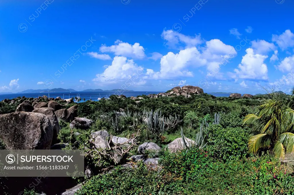 Beautiful rocks and landscape plants at The Baths of Virgin Gorda in British Virgin Islands
