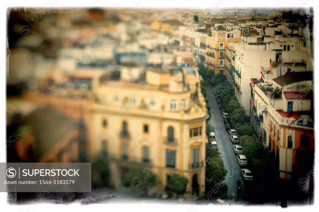 View of the city of Seville from the top of the Giralda tower  Tilted lens used for a shallower depth of field
