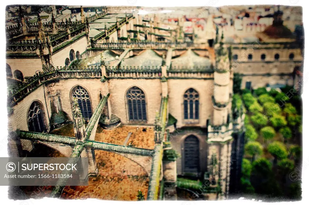 View of the Cathedral and Orange Tree Yard from the top of the Giralda tower, Seville, Spain  Tilted lens used for a shallower depth of field