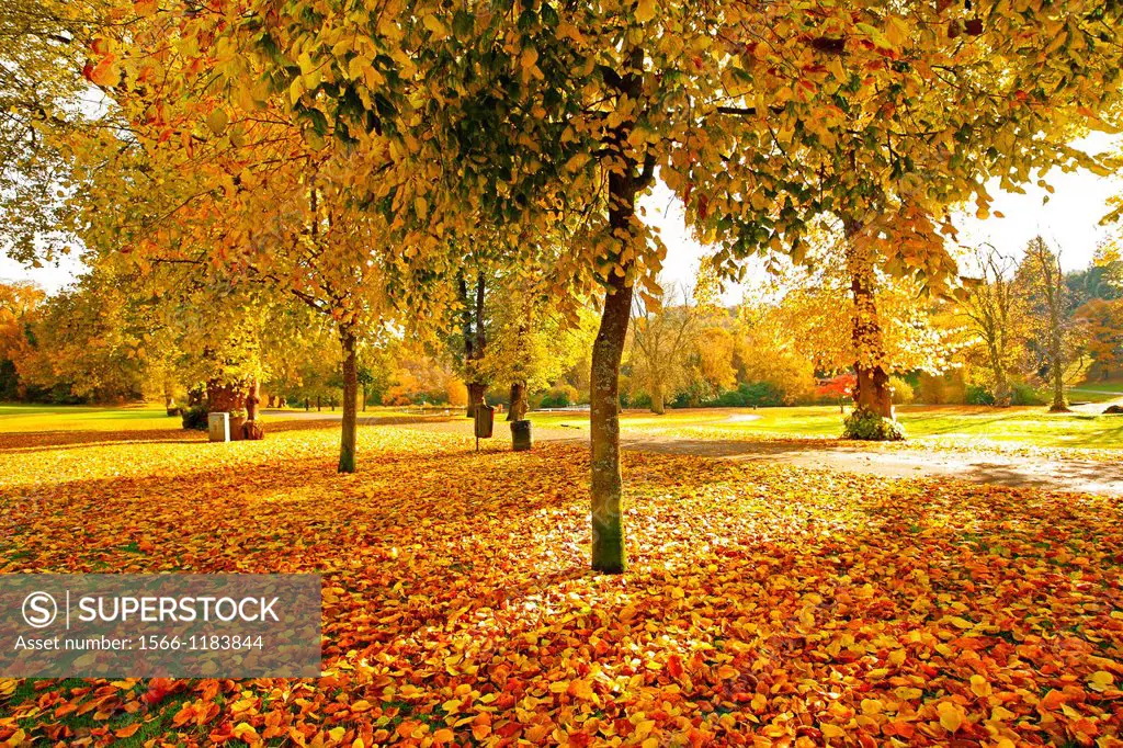 Wonderful autumnal scene in the park of Falkirk, Scotland