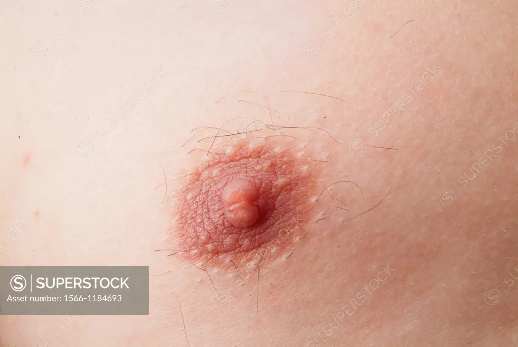 Nipple of a man