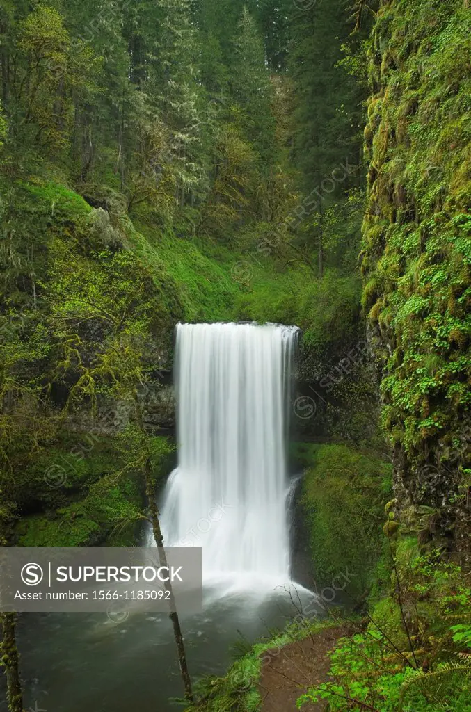 Lower South Falls, Silver Falls State Park, Oregon