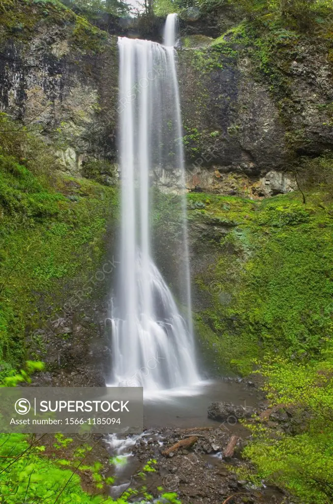 Double Falls, Silver Falls State Park, Oregon