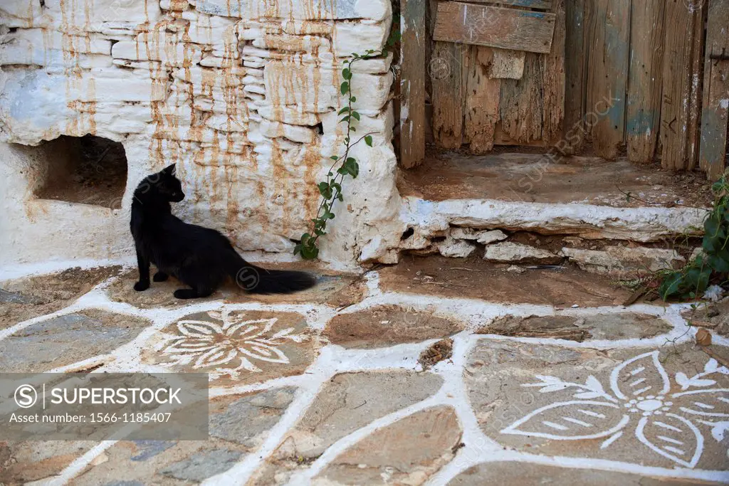 Greece, Cyclades islands, Cyclades cat