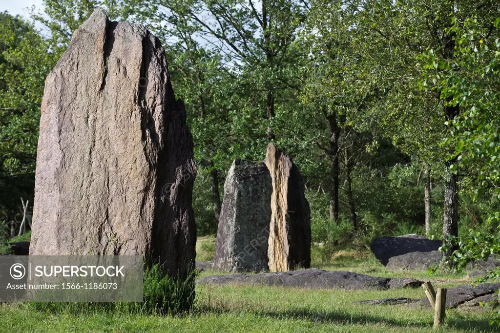 Monteneuf alignments, the upright stones, Morbihan, Brittany, France