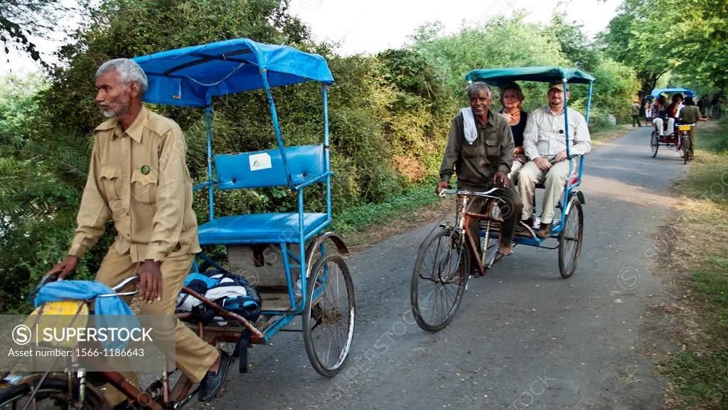 Bird watchers in cyclo rickshaw Keoladeo Ghana National Park formerly known as Bharatpur after nearby town Rajasthan India