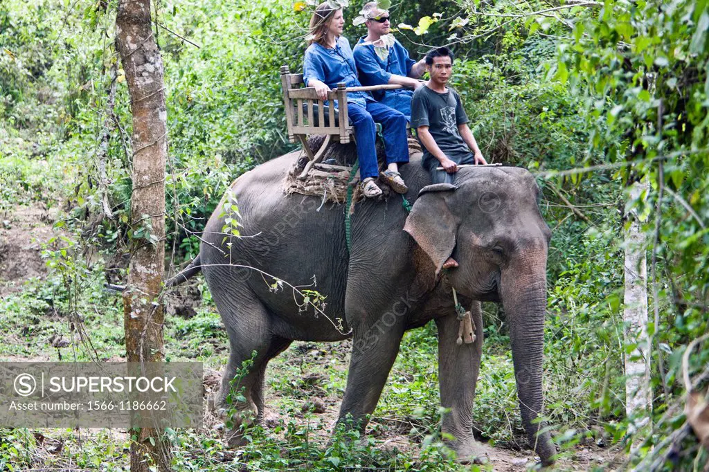 Elephant trek near Luang Prabang Laos PDR