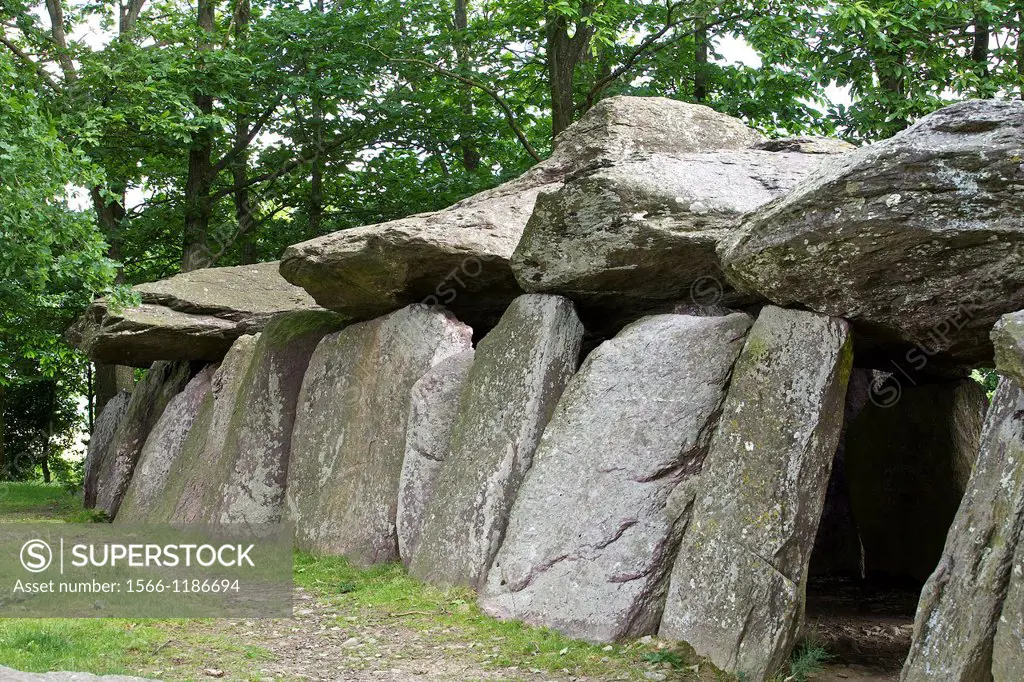 fees to the rock is a megalith of 19 meters long, for a total mass of approximately 45 tons, common essé, Ille et Vilaine, Brittany, France