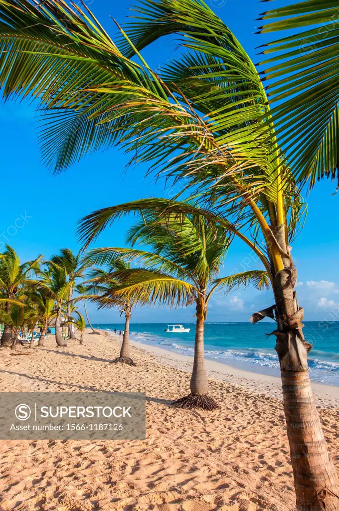beach, Riu Palace, hotel, Punta Cana, Dominican Republic, Caribbean