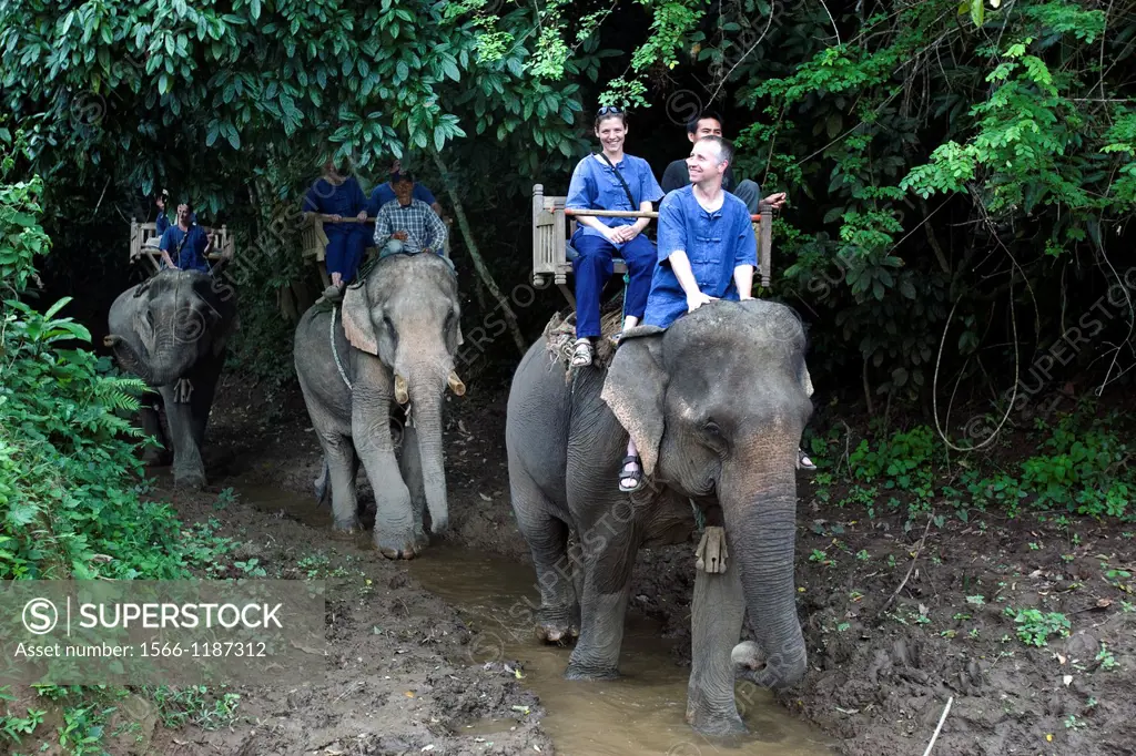 Elephant trek near Luang Prabang Laos PDR
