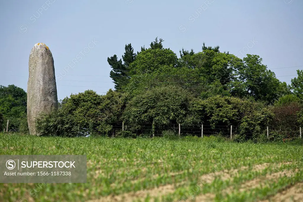 menhir of the field dolent, combourg, Ille et Vilaine, Brittany, France