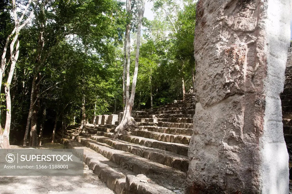 Archeological site Calakmul, Yucatan Peninsula, Mexico