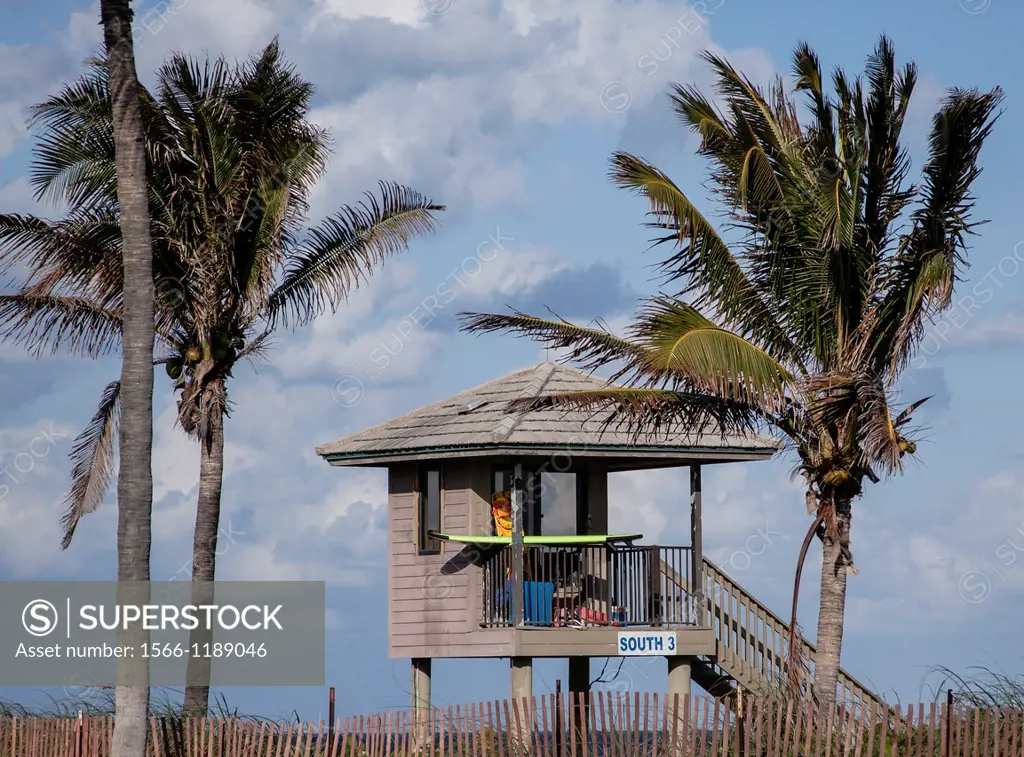 Lifeguard tower at the beach flanked by two palm trees on a sunny day with a few clouds in the sky.