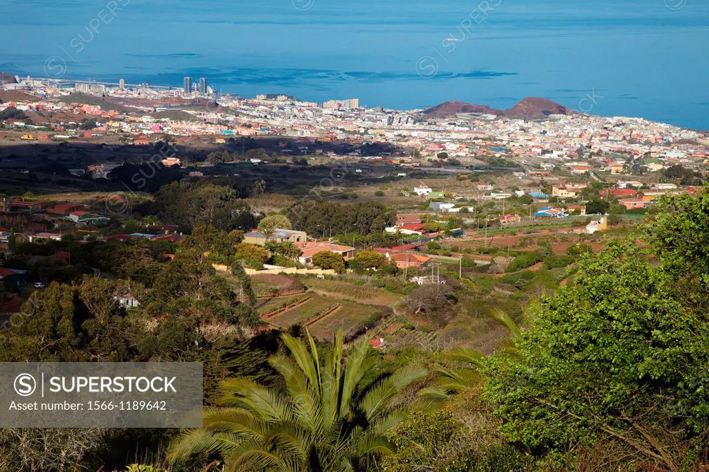 Santa Cruz de Tenerife, Tenerife, Canary Islands, Spain.