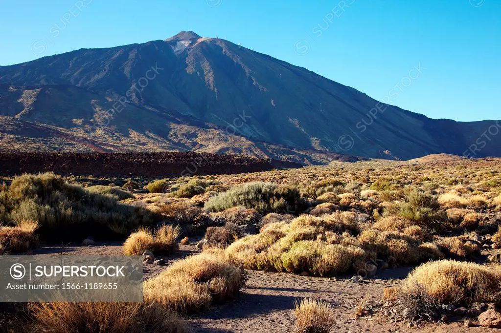 Pico del Teide, Las Cañadas, El Teide National Park, Tenerife, Canary Island, Spain.