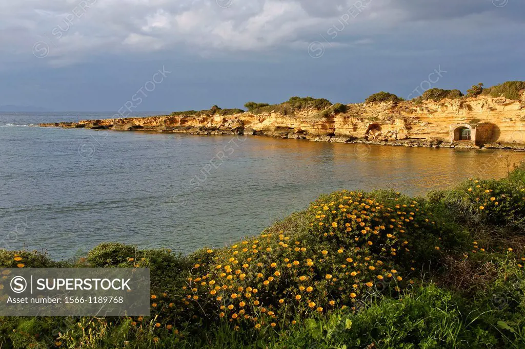 Ca Los Camps, coast of Colonia de Sant Pere Bahia de Alcudia Peninsula Llevant Arta Mallorca Balearic Islands Spain
