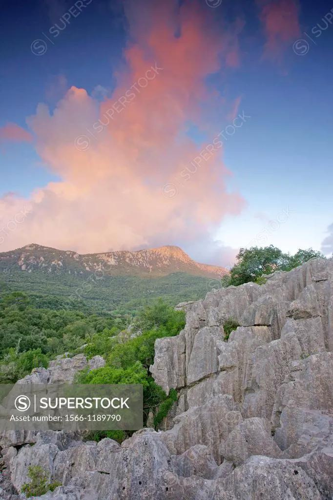 Karstic rocks Escorca Sierra de Tramuntana LLuc Mallorca Balearic Islands Spain