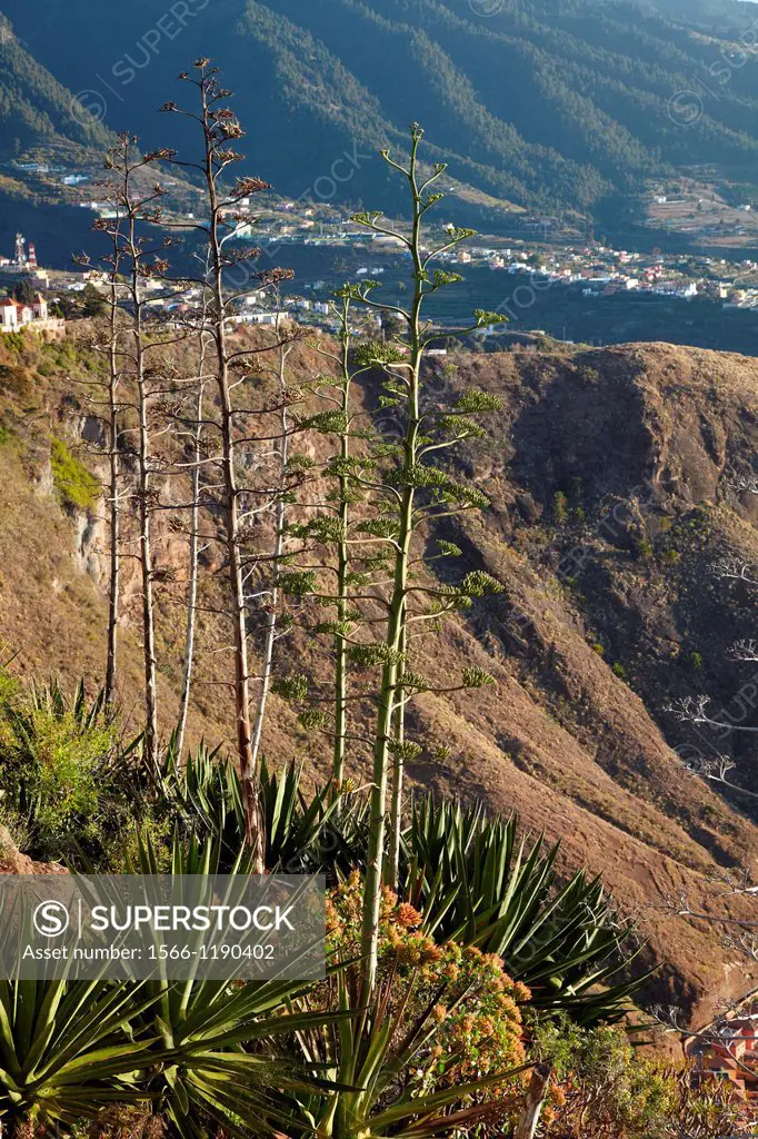 View from the Mirador de la Concepción, Santa Cruz de La Palma, La Palma, Canary Island, Spain.