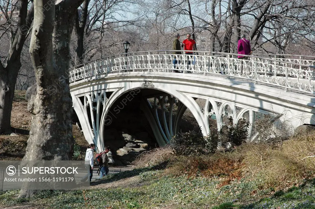 New York City, bridge in Central Park, Manhattan