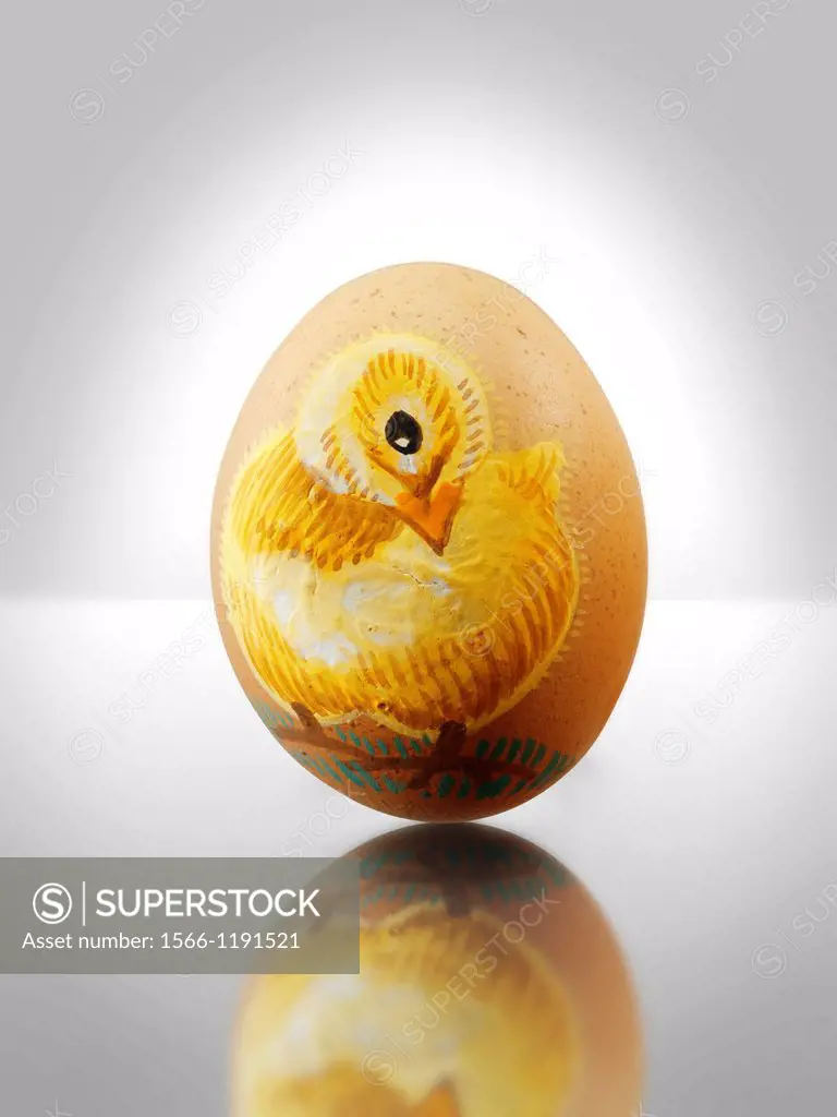 Hand painted chicken eggs with traditional Easter chicks design