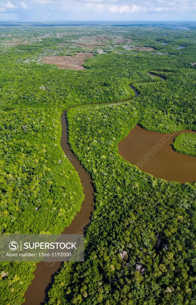 Aerial view, Everglades Natuional Park, FLORIDA, USA, AMERICA.