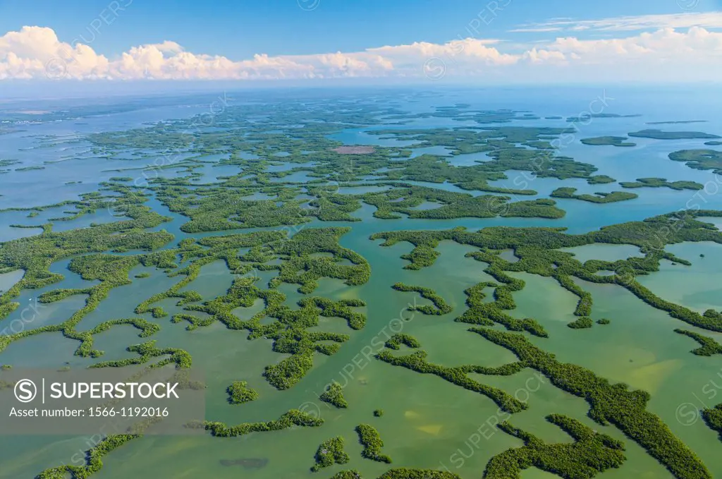 Aerial view, Everglades National Park, Florida, USA.