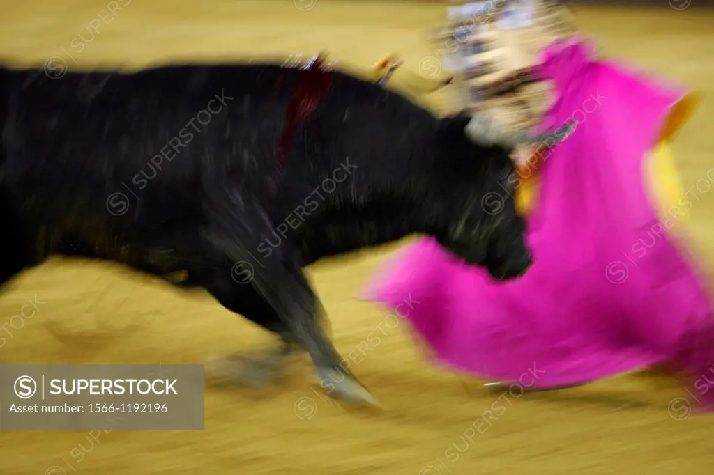 Bullfighting in the bullring ´Malagueta´  Malaga, Andalusia, Spain, Europe