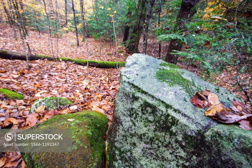Large rock with blasting hole along the Thornton Gore Road that traveled through the Thornton Gore hill farm community in Thornton, New Hampshire USA ...