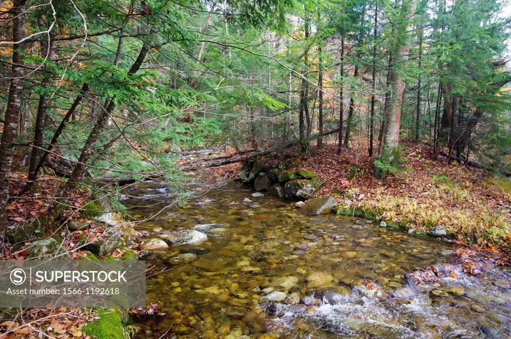 Remnants of an old stone bridge that crossed Talford Brook in the Thornton Gore hill farm community of Thornton, New Hampshire USA This farming commun...