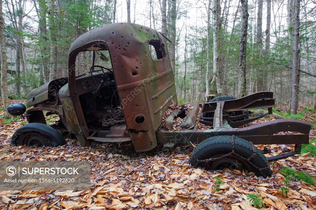 Abandoned 1940s rusted International Harvester pickup with bullet holes in forest near Elbow Pond in Woodstock, New Hampshire USA