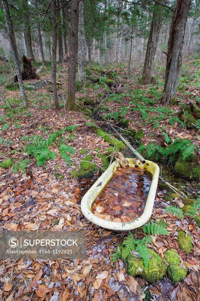Artifacts from the abandoned cabin settlement surrounding Elbow Pond in Woodstock, New Hampshire USA
