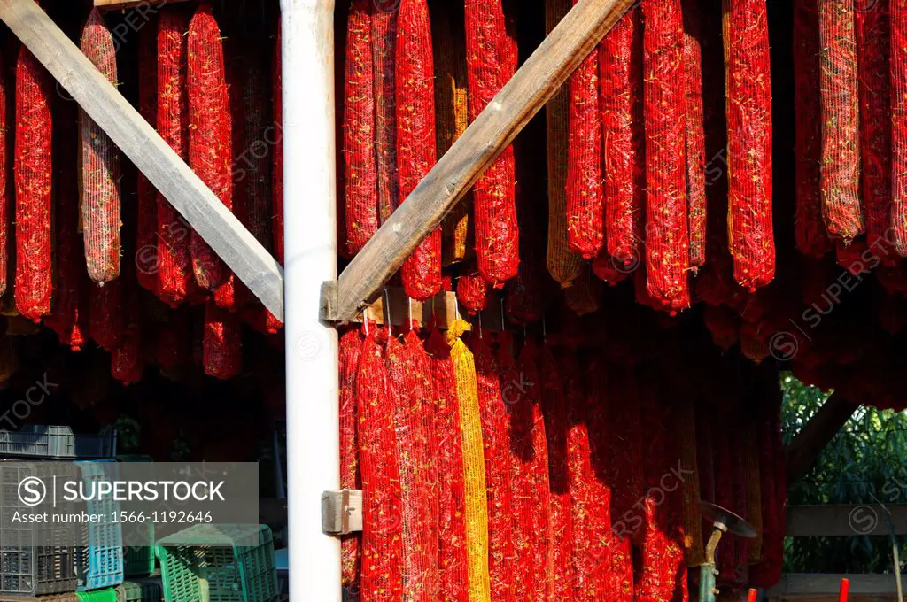 Paprika chillies drying in sheds - Kalocsa Hungary