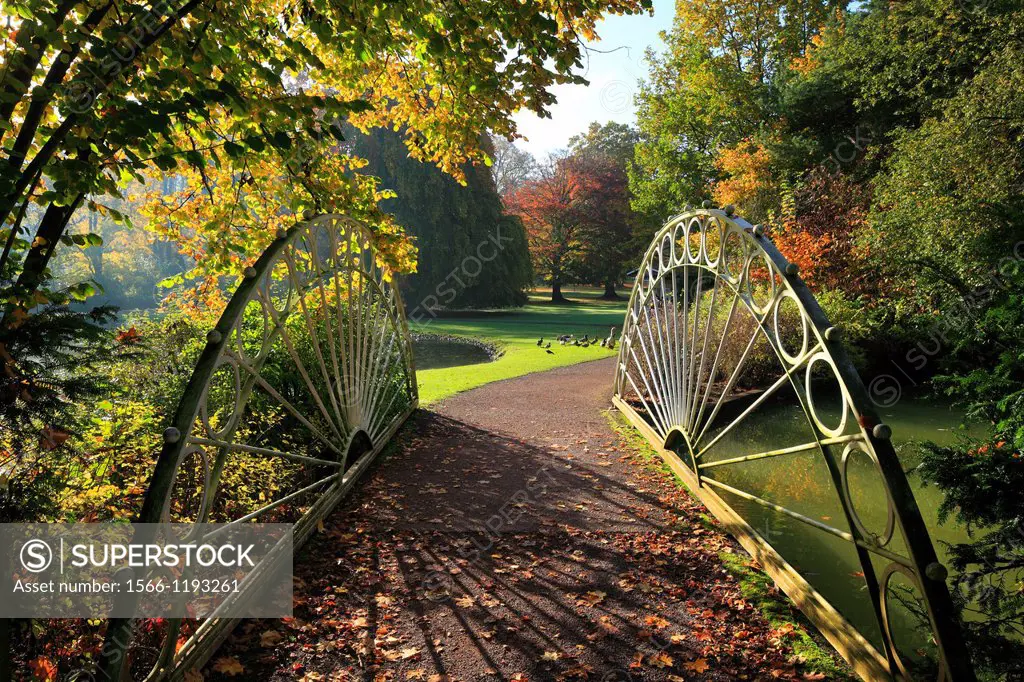 Germany, Bad Driburg, nature reserve Teutoburgian Forest / Eggegebirge, East Westphalia, Westphalia, North Rhine-Westphalia, NRW, Graeflicher Park Bad...