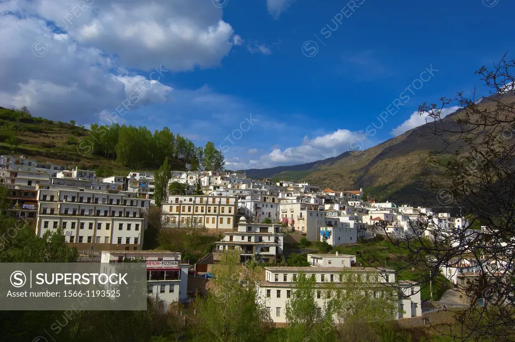 Las Alpujarras, Trevélez, Alpujarras Mountains area, Granada province, Andalusia, Spain