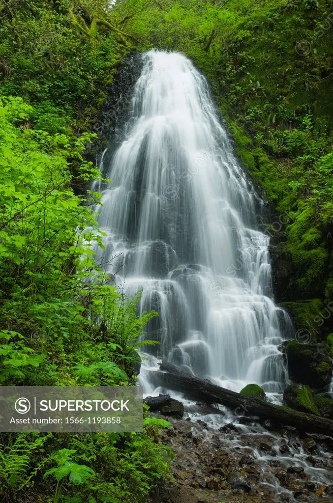 Fairy Falls, Columbia River Gorge National Scenic Area, Oregon