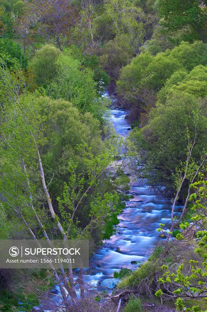 River Trevelez, Las Alpujarras, Trevélez, Alpujarras Mountains area, Granada province, Andalusia, Spain