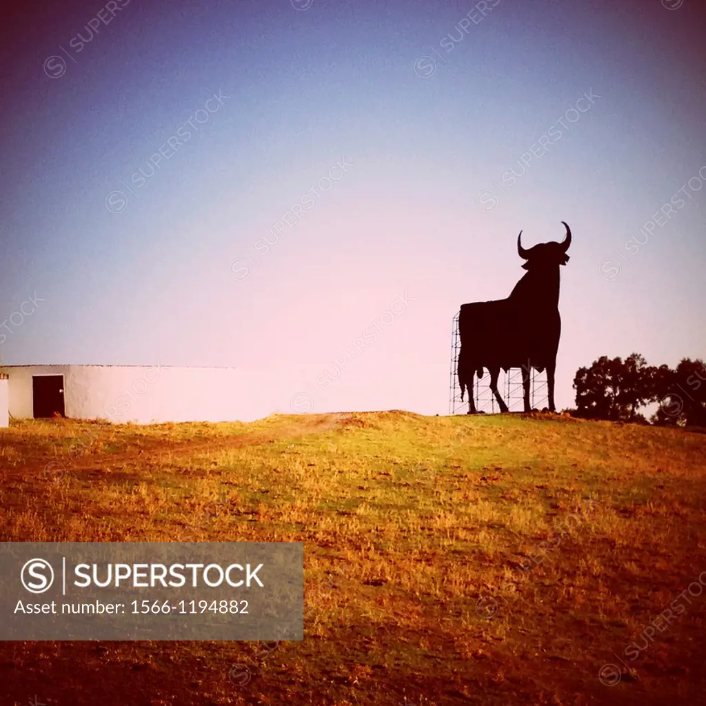 Silhouette of an Osborne Bull on the horizon, Advertisement, Andalusia, Spain