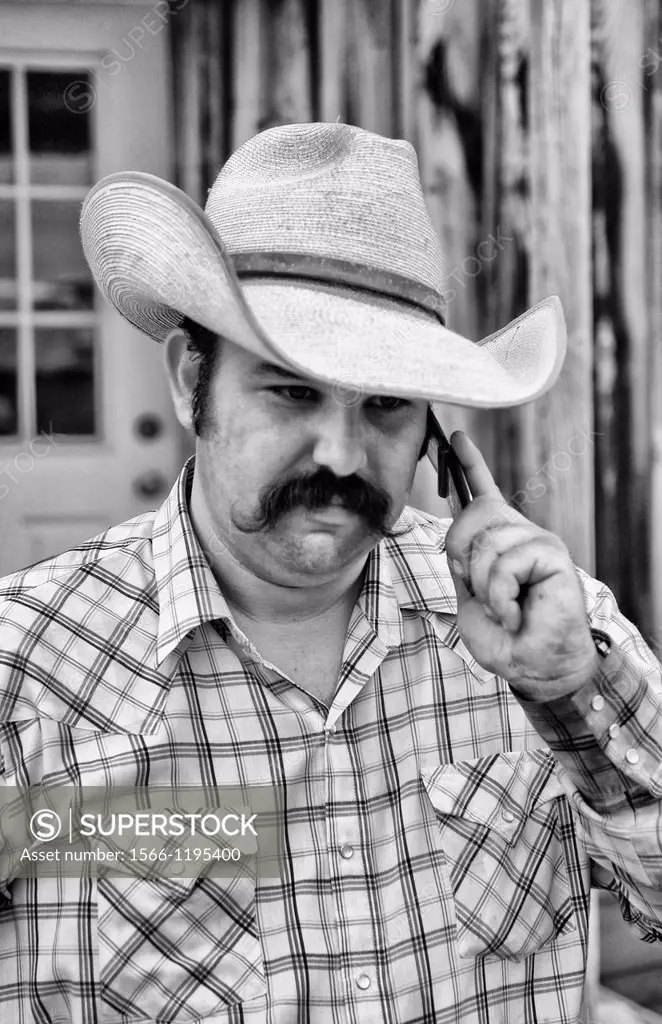 The life of a cowboy in the West USA as cowboy talks on modern cell phone to communicat