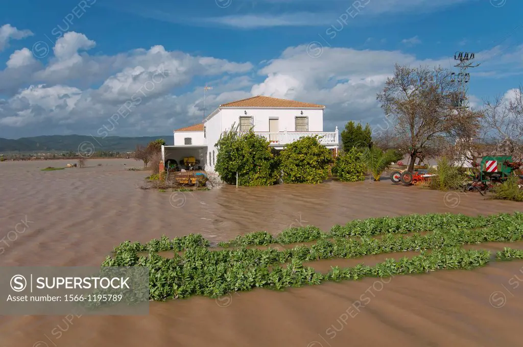 Guadalquivir river floods, Field next to Llanos del Sotillo quarter, Andujar, Jaen-province, Spain,