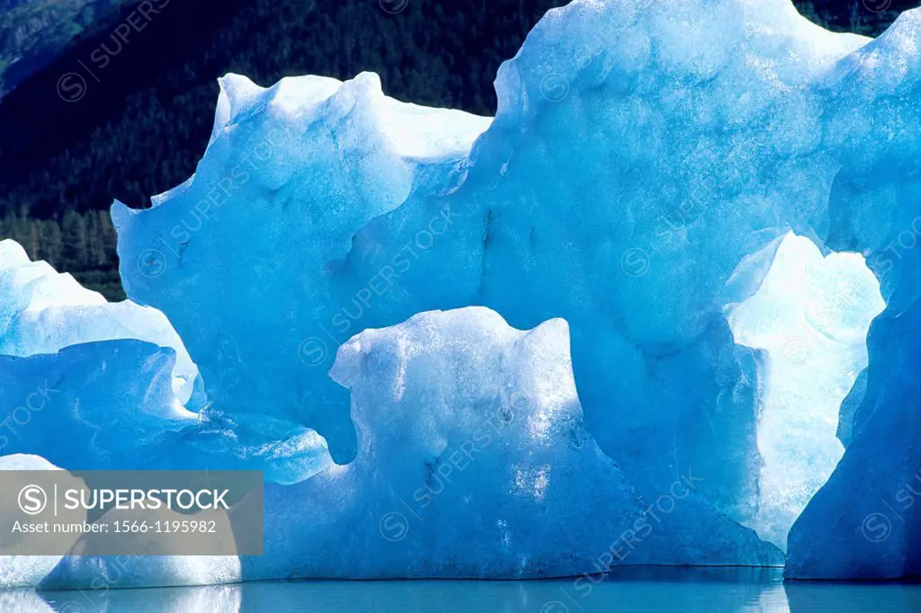 Wonderful Blue Icebergs and Glaciers of Portage Glacier Alaska USA