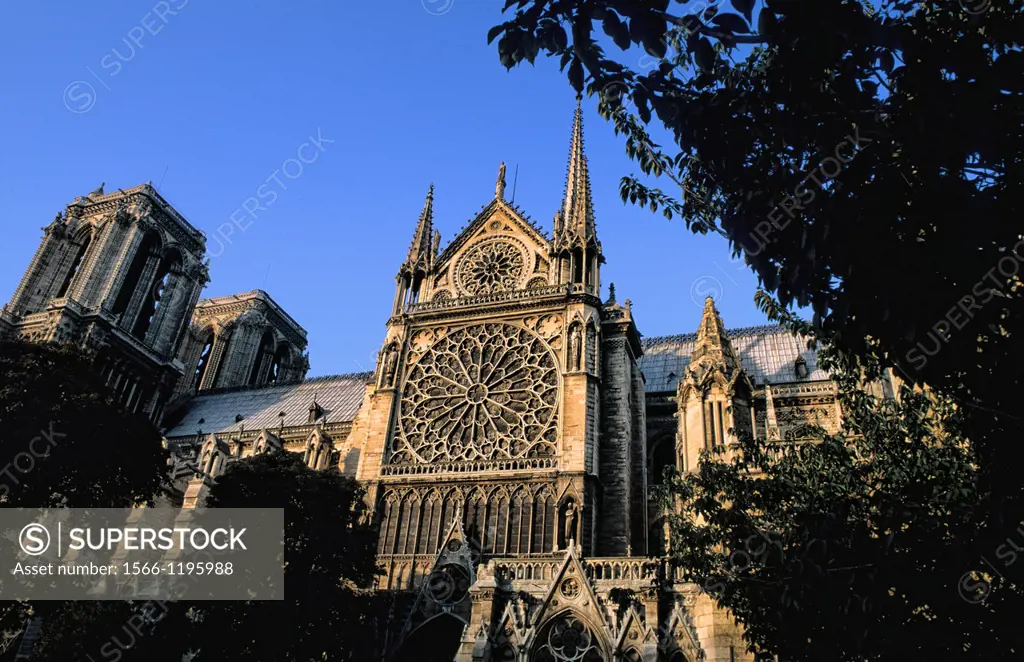 close-up of rose window Notre Dame church Paris France