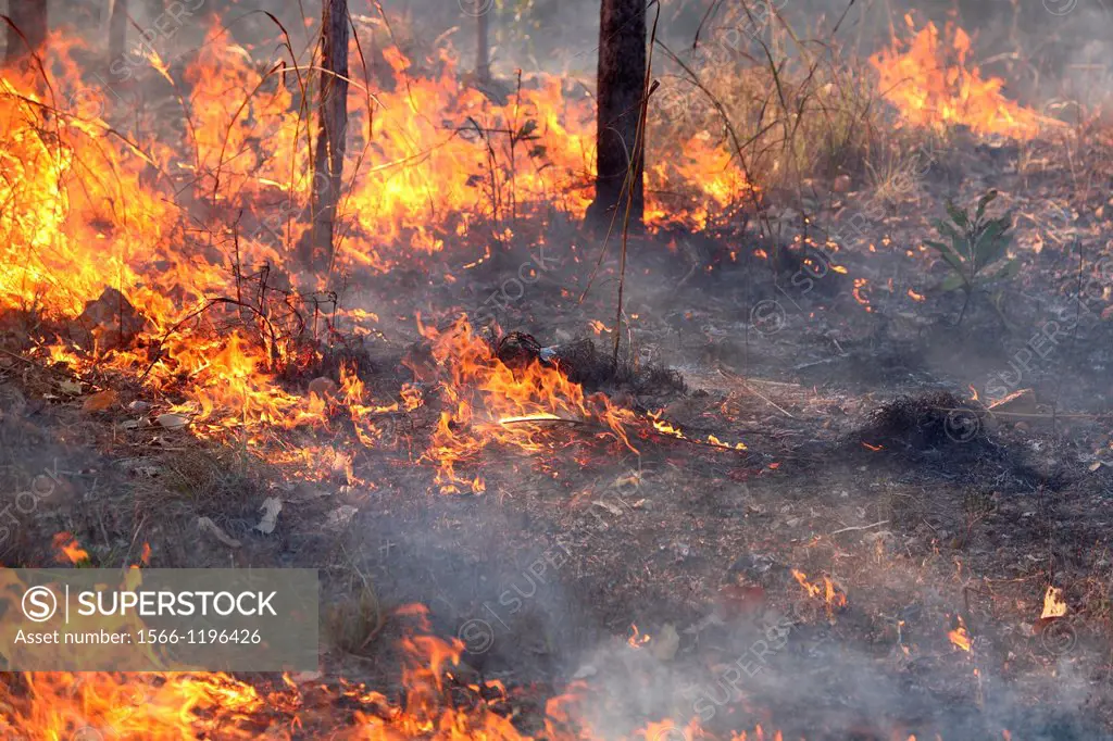 Controlled burn-off to reduce the risk of wildfires  Kakadu National Park, Northern Territory, Australia