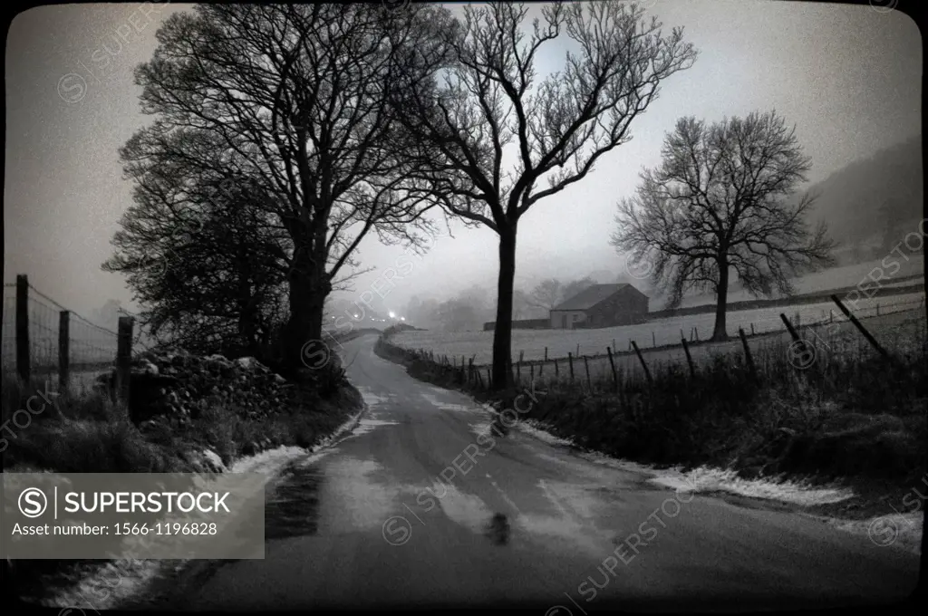 UK, England, North Yorkshire, Yorkshire Dales, rural road with trees and snow