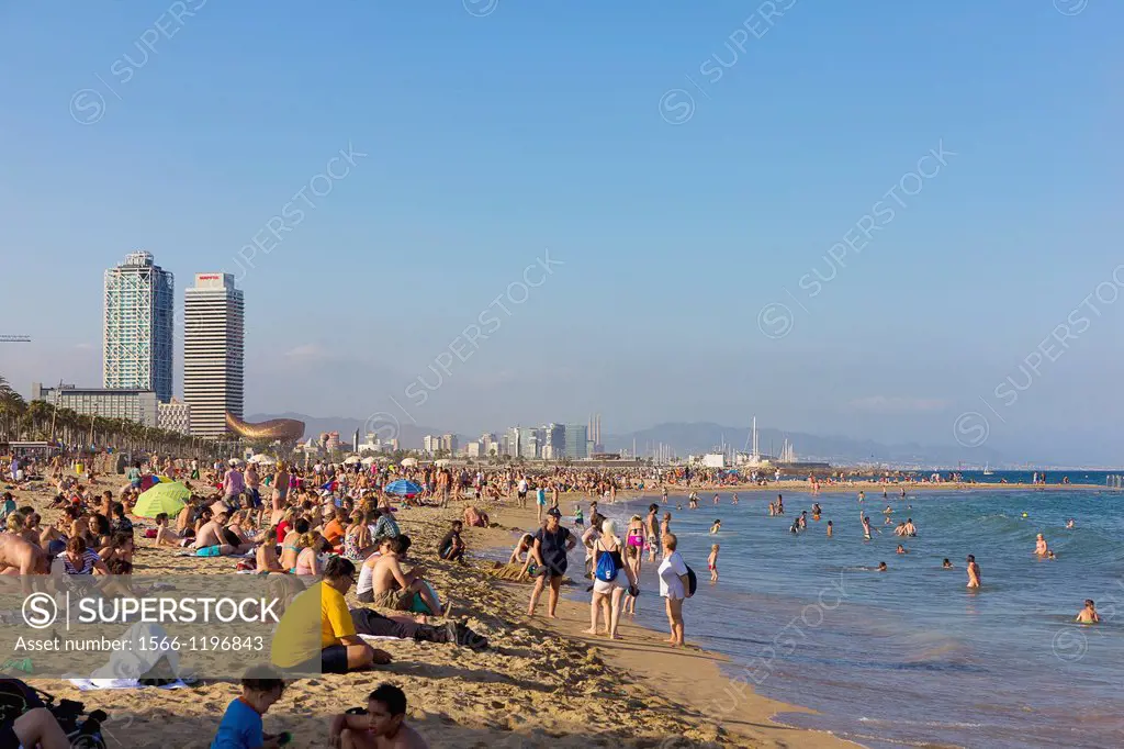 Beach of La Barceloneta  Barecelona