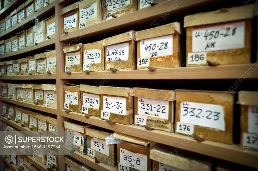 listed and tidy boxes in warehouse