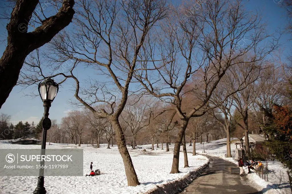 New York City, Central Park in winter, Manhattan