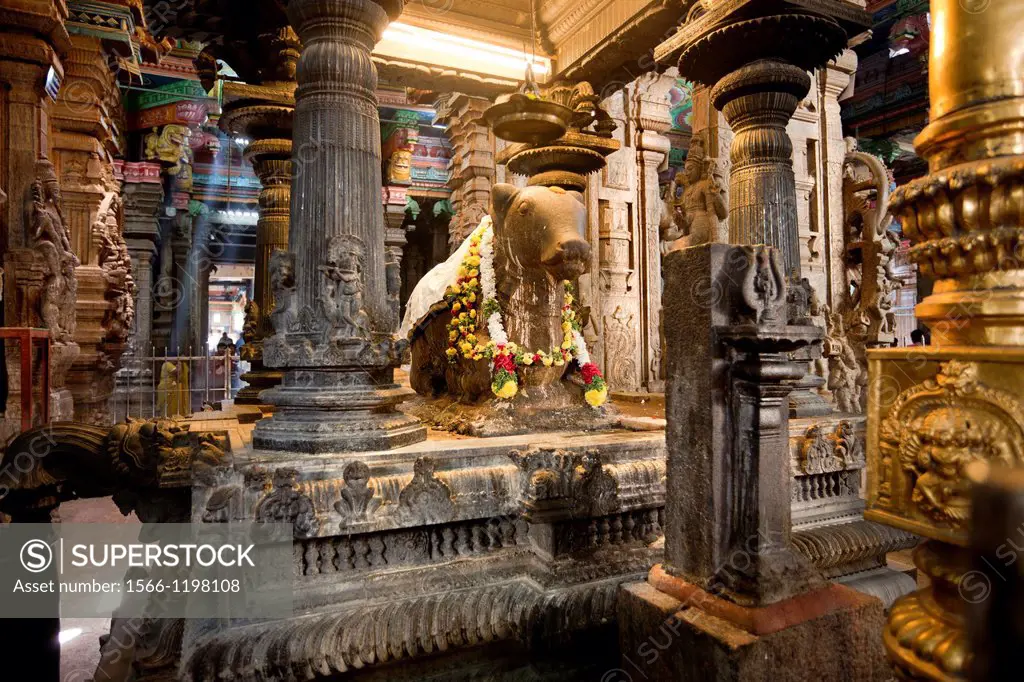 Madurai, India-September 11, 2012  Many parishioners and pilgrims visit every year the Sri Meenakshi Hindu Temple where they pray and contemplate the ...
