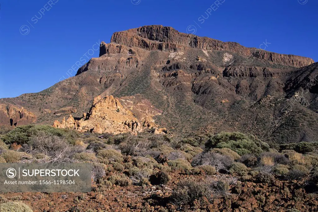 Caldeira de las Canadas, Mount Teide, National Park, Tenerife, Canary Islands, Atlantic Ocean
