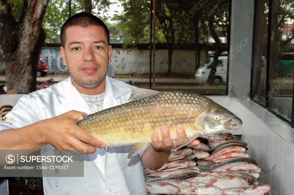 Fish market vendor, Colombia, South America