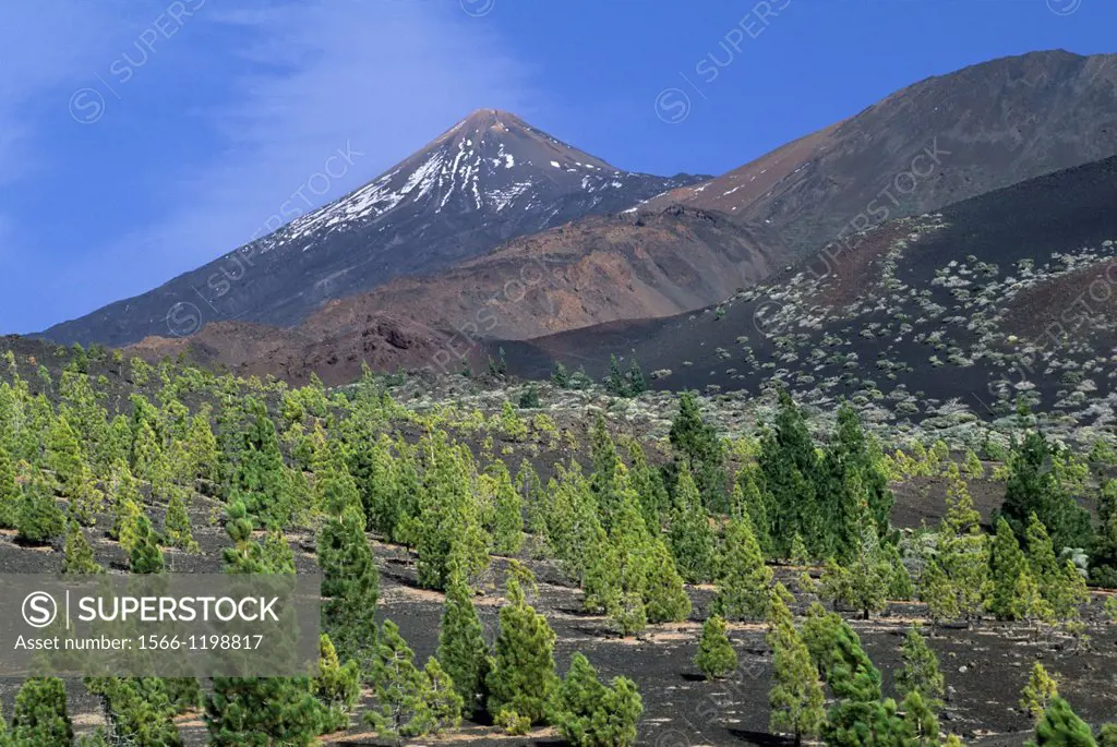 Pico Viejo, Caldeira de las Canadas, Mount Teide, National Park, Tenerife, Canary Islands, Atlantic Ocean